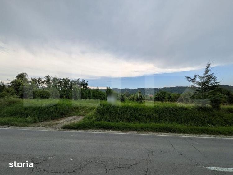 Teren de 4500 mp, în Voinești