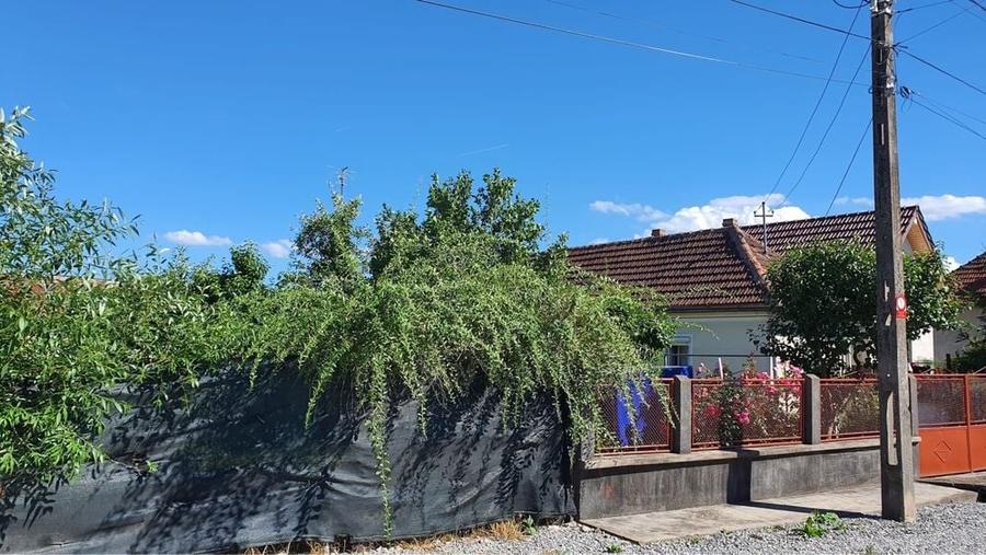 Spațiu comercial, în Peștișu Mare