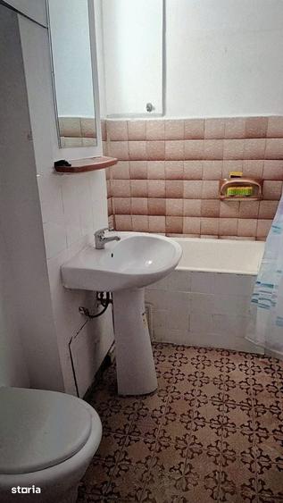 Teiul Doamnei, Parc Tei & Plumbuita, renovat, reabilitat, debara, 1% - 1