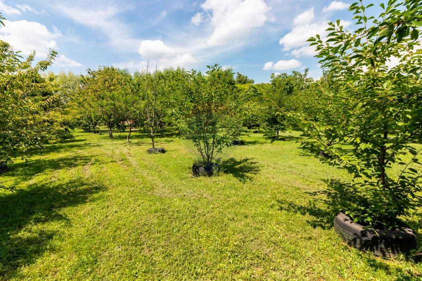 Casă individuală cu 7 camere cu Teren 3249 Mp în Central