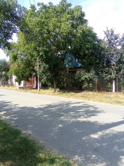 Casă cu Teren 700 Mp în Mihai Bravu
