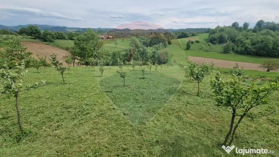 Teren de 5862 mp, în Bratca