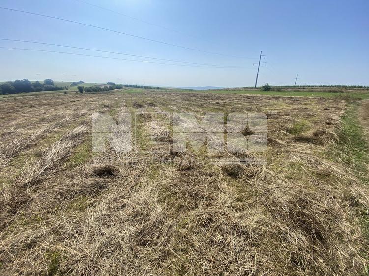 Teren agricol extravilan de 3401 mp, în Burdujeni