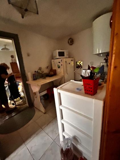 Vanzare casa de vacanta - 5