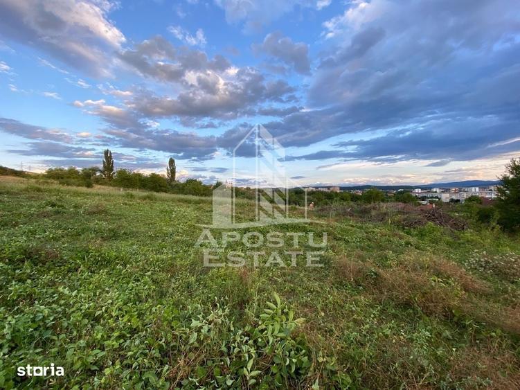 Spațiu comercial, în Baldovin