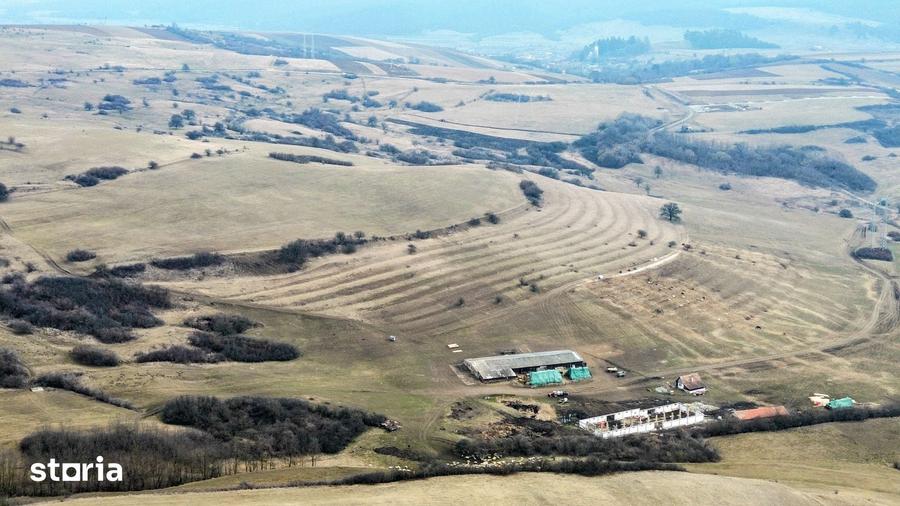 Teren de 716 mp, în Roșia