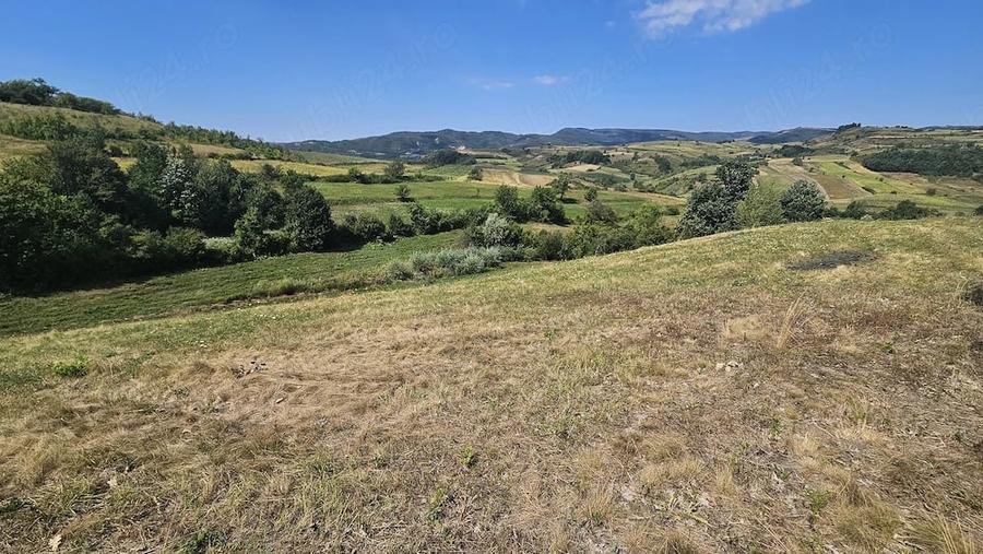 Teren de 4454 mp, în Sichevița