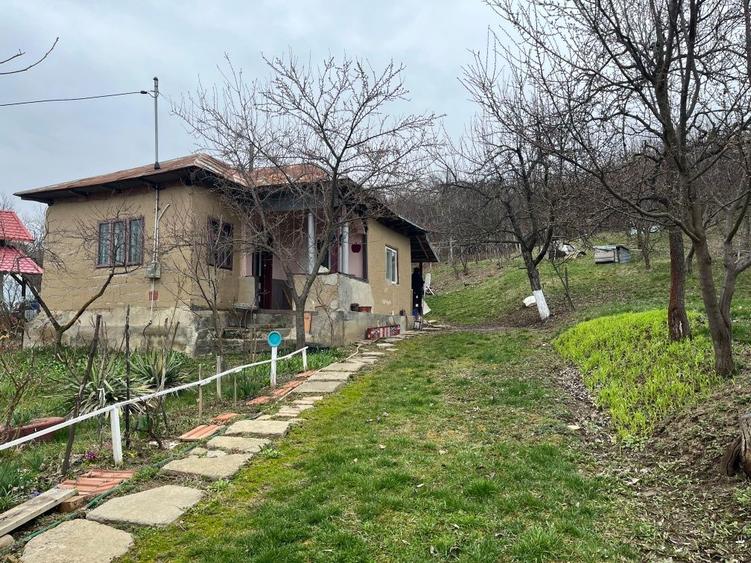 Casă cu 3 camere în Bălțești
