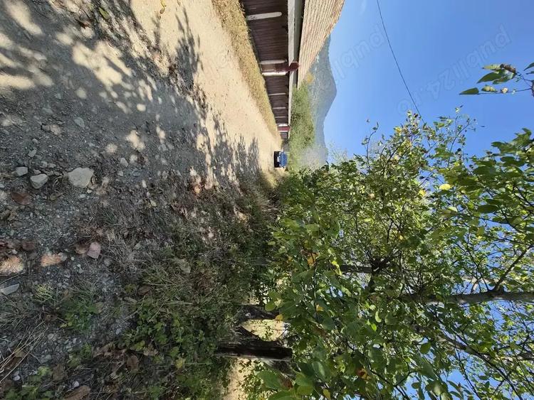 Teren de 3863 mp, în Vad