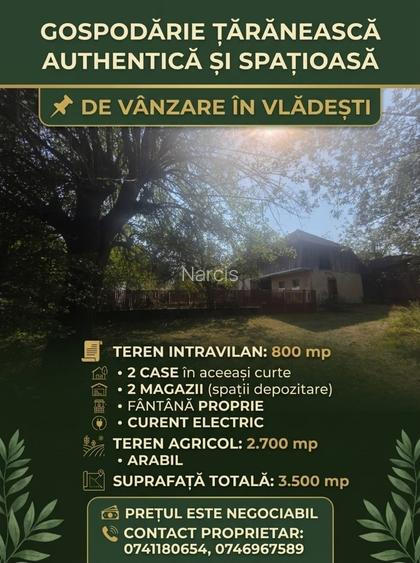 Proprietar, vand gospodarie taraneasca autentica si spatioasa in localitatea Vladesti Judet Arges