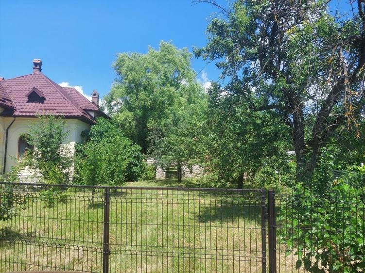 Teren de 3700 mp, în Jiblea Nouă