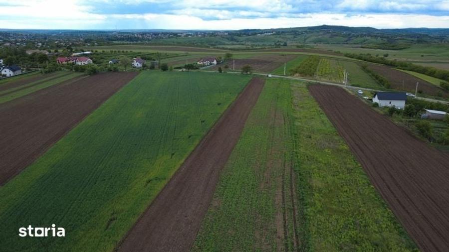 Teren de 5200 mp, în Șendriceni