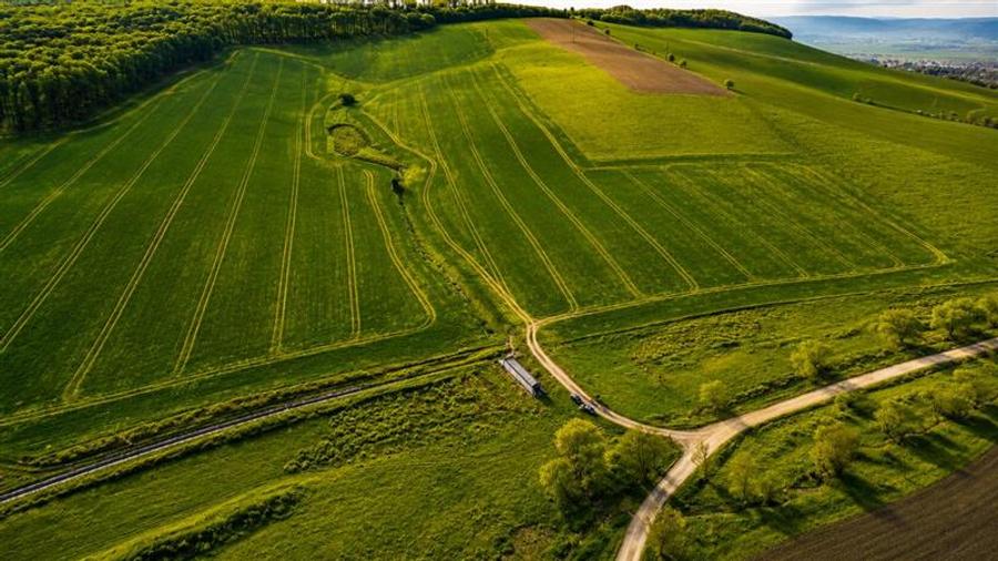Teren extravilan de 23669 mp, în Sângeorgiu de Mureș