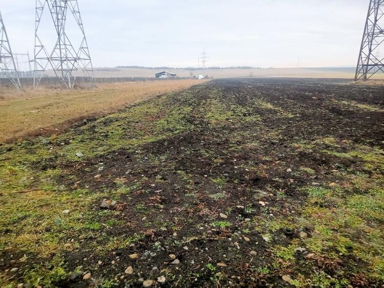 Teren de 4500 mp, în Câmpia Turzii