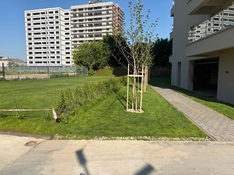 Apartament 3 camere,2 bai,centrala proprie,mutare imediata,TVA inclus in pret! - 19