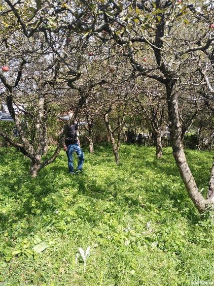 Teren de 3430 mp, în Malu cu Flori