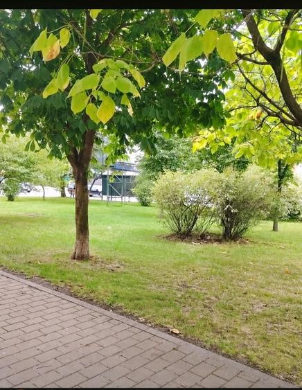Apartament cu 3 camere decomandat în Păcurari