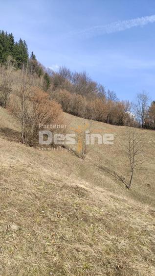 Teren agricol extravilan de 5000 mp, în Rucăr