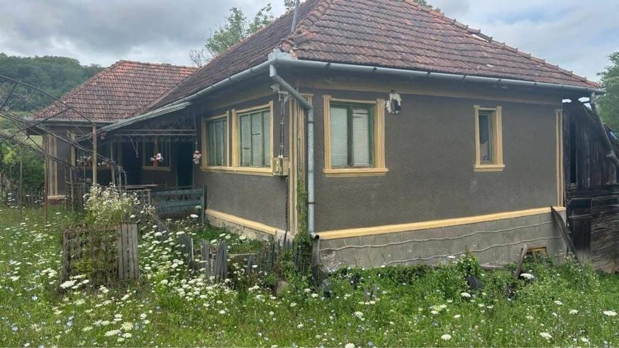 Casă cu 4 camere în Țărmure