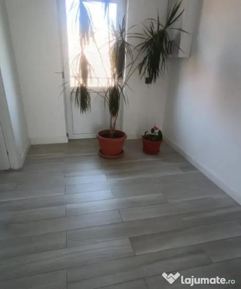 Casă cu 4 camere cu Teren 438 Mp în Romanești