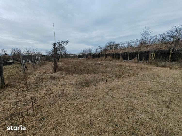 Teren de 1660 mp, în Letea Veche