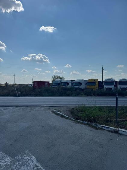 Vanzare Teren  industrial \5000mpMagurele Varteju - 12
