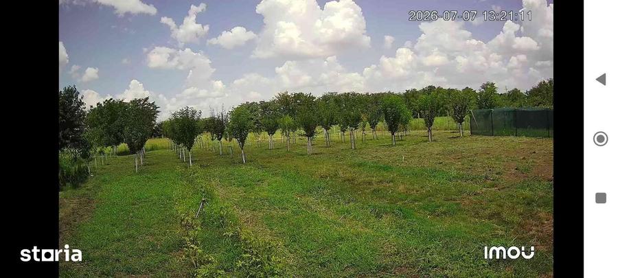 Casă cu 3 camere cu Teren 10000 Mp în Gogoșari