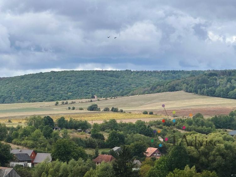 Casă individuală cu 2 camere cu Teren 2876 Mp în Dalnic