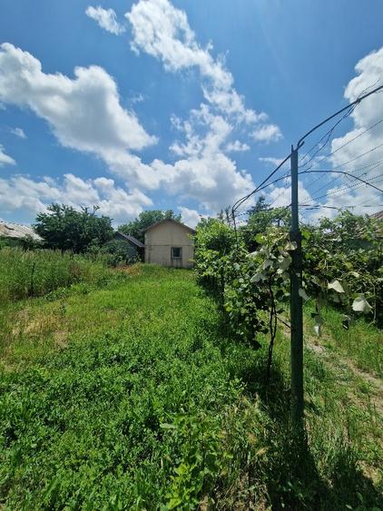 Casa de vanzare sat Sterea - 1