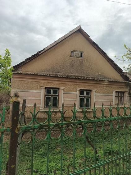 Casă cu 2 camere în Albiș