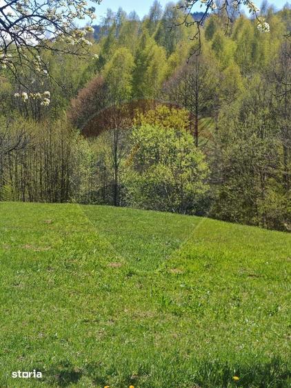 Teren de 10279 mp, în Bran