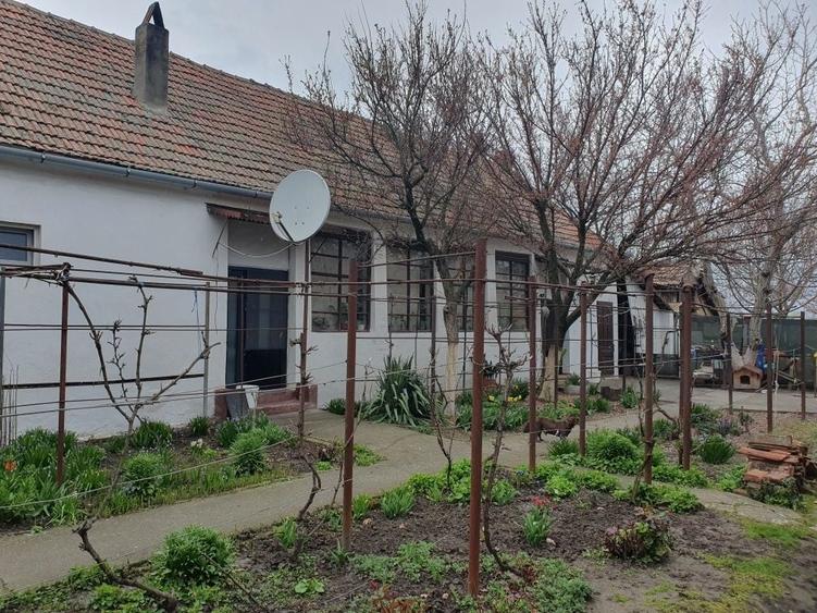 Casă cu 3 camere în Pustiniș