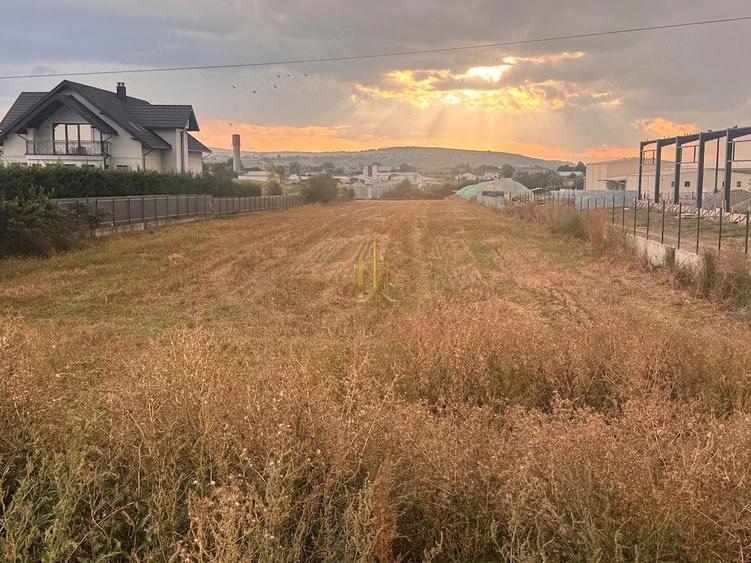 Teren de 5000 mp, în Poieni-Suceava