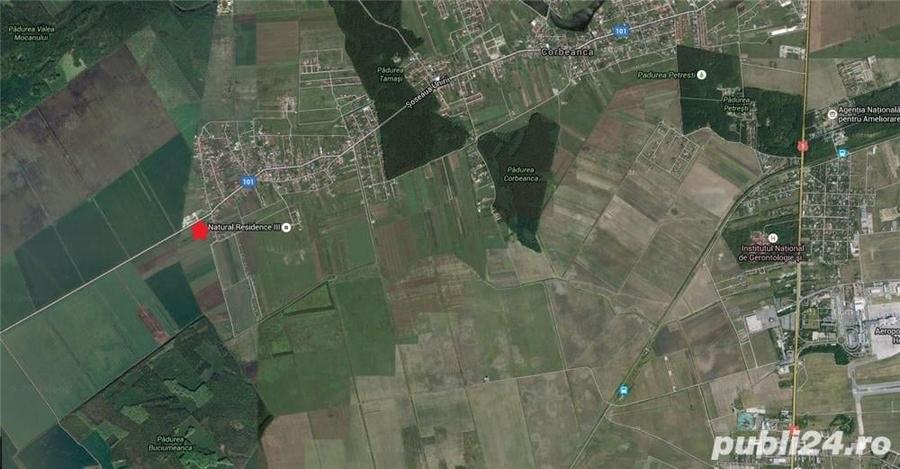 Teren de 503 mp, în Tamași
