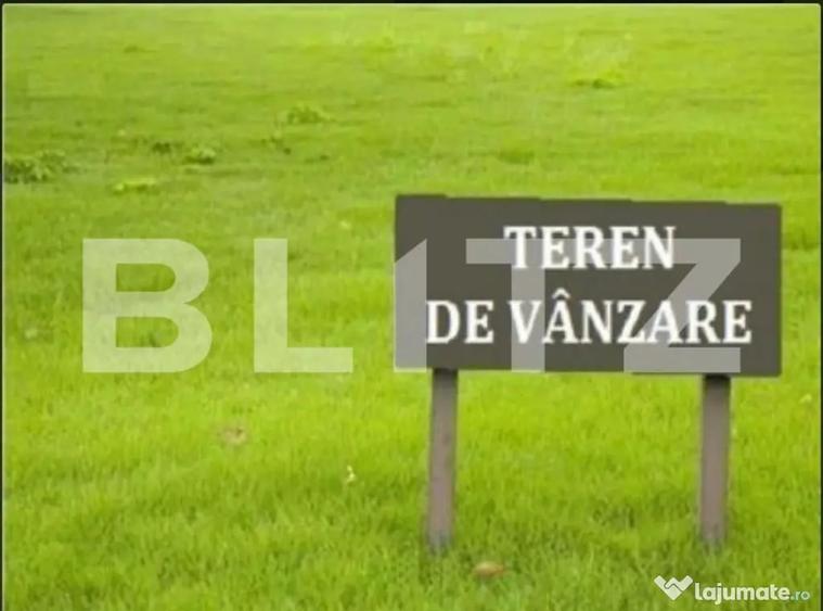 Teren intravilan de vanzare, 29 ari, Ilisesti - 1