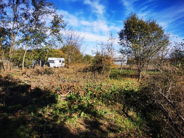 Casă individuală cu 2 camere cu Teren 2250 Mp în Gruiu