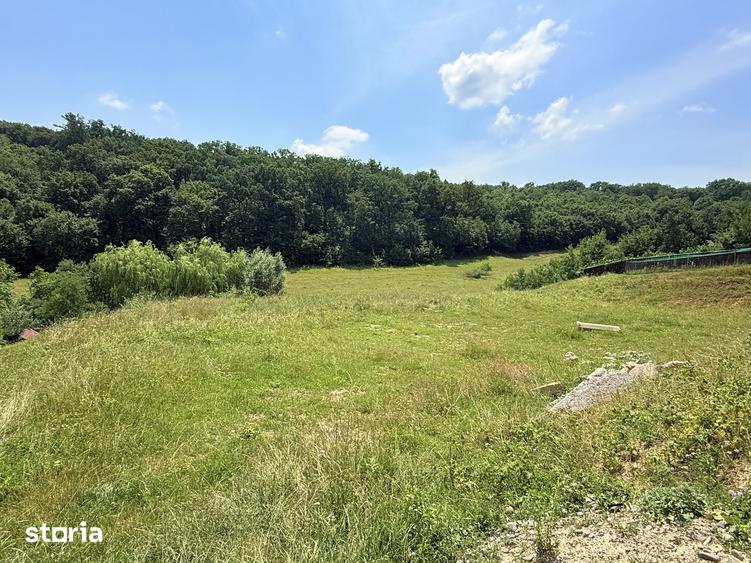 Teren de 2500 mp, în Sântana de Mureș