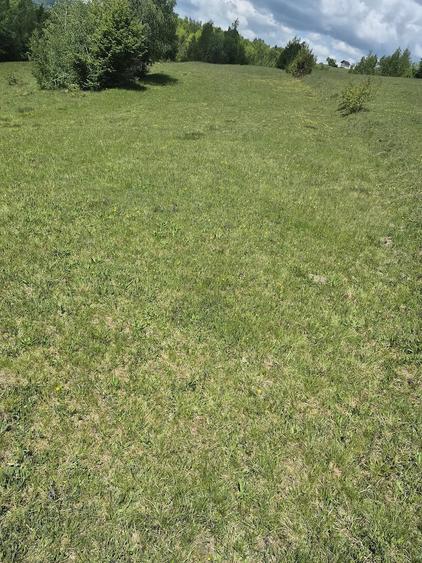 Teren de 3000 mp, în Ponor