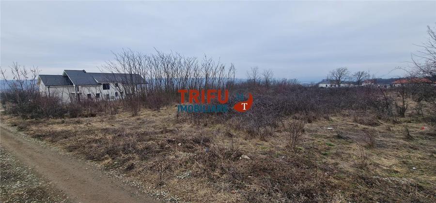 Teren Construcții intravilan de 1091 mp, în Cetate