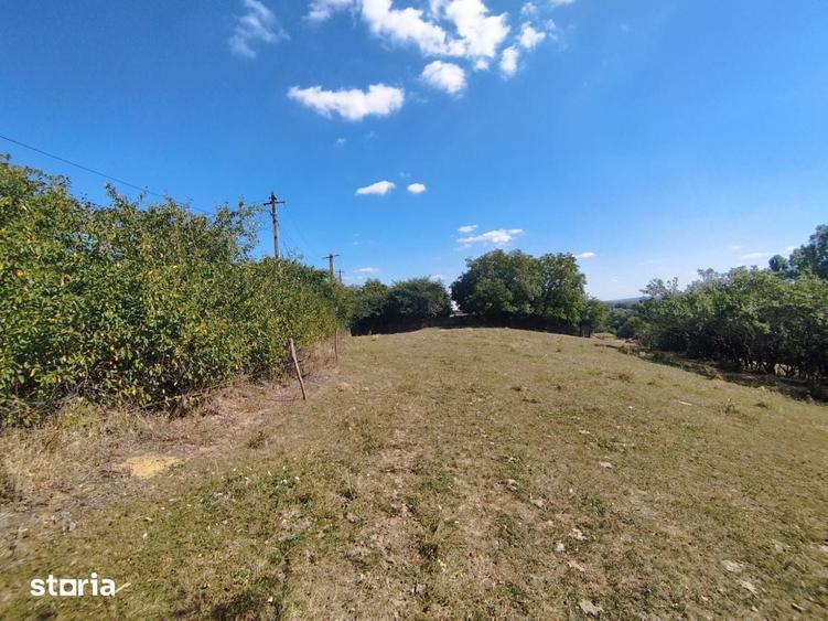 Teren de 2200 mp, în Frumosu