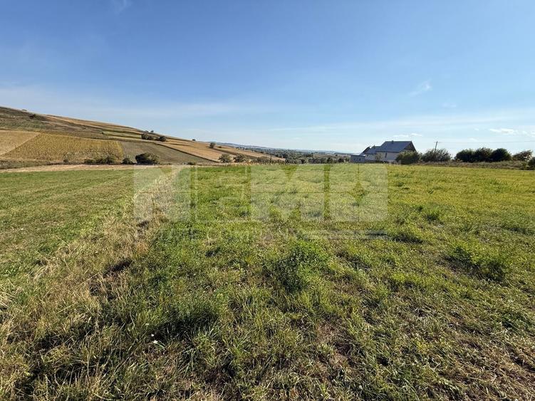 Teren Construcții intravilan de 4000 mp, în Burla
