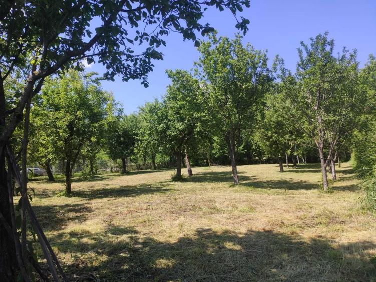 Casă cu 4 camere cu Teren 2500 Mp în Moțăieni