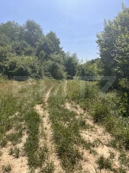 Teren Construcții extravilan de 2900 mp, în Lugoj