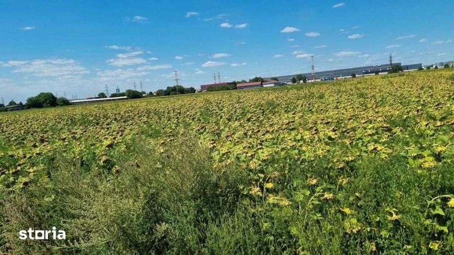 Teren de 2500 mp, în Cordun