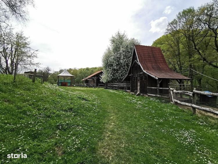 Casă cu 4 camere cu Teren 18900 Mp în Daneș
