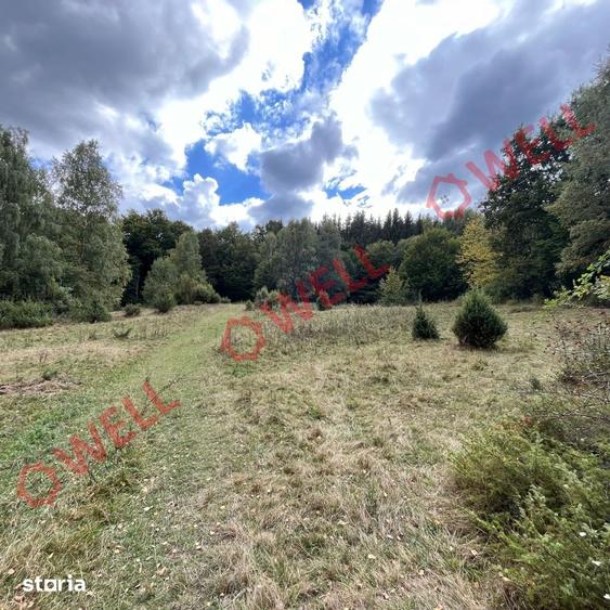 Teren de 55100 mp, în Cernat