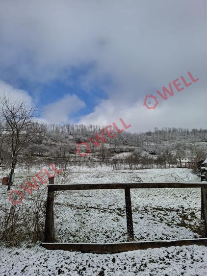 Casă individuală cu 3 camere cu Teren 2000 Mp în Gogan