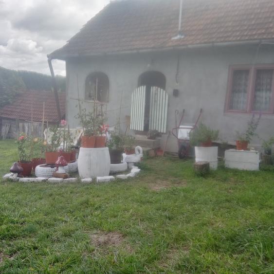 Casă individuală cu 2 camere în Baia de Criș