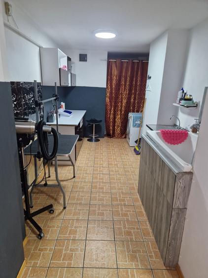 Spațiu comercial, de 30 mp, în Plantelor