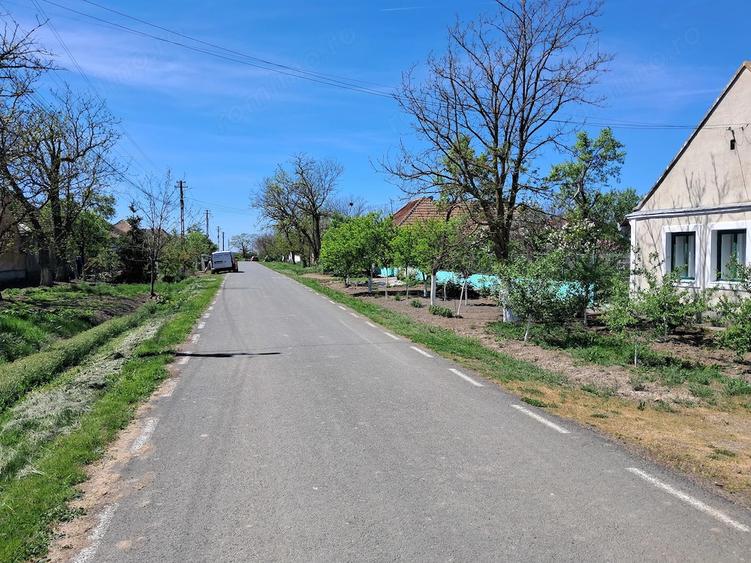 Valcani, proprietate cu casa taraneasca - 6